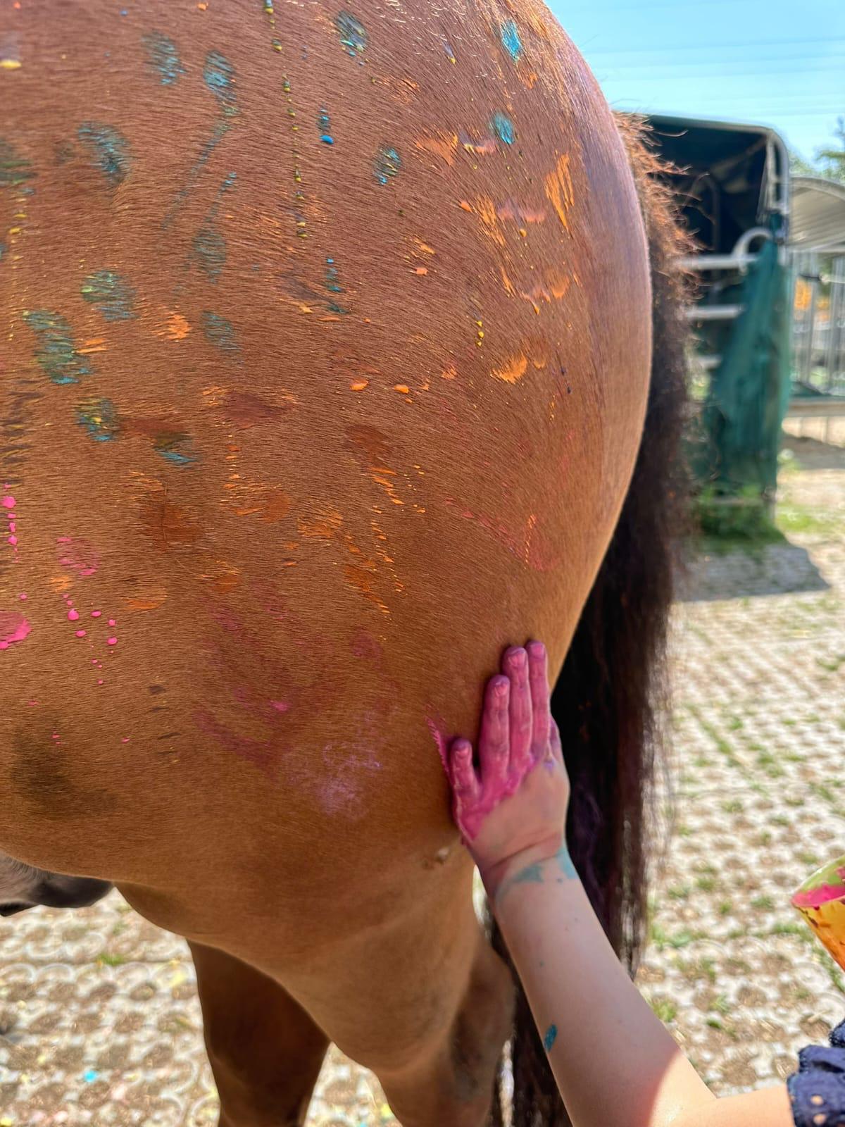 Bunte Hand am Pferdefell